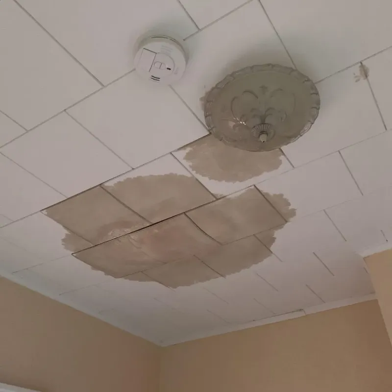 Ceiling Water Damage Repair in Celoron, NY