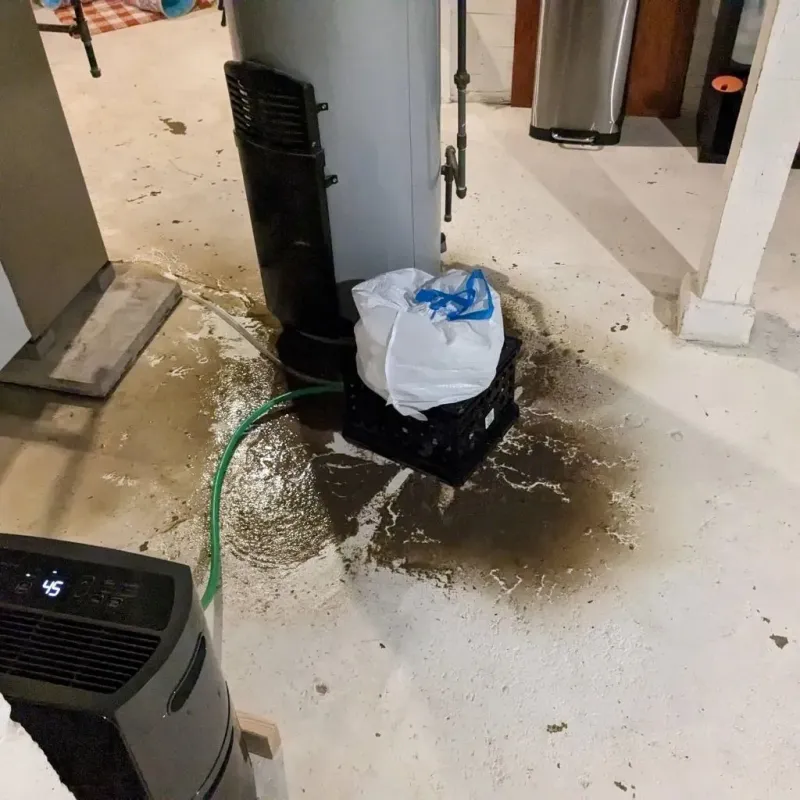 Sewage Backup Cleanup Service in Celoron, NY